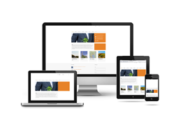 Responsive Website